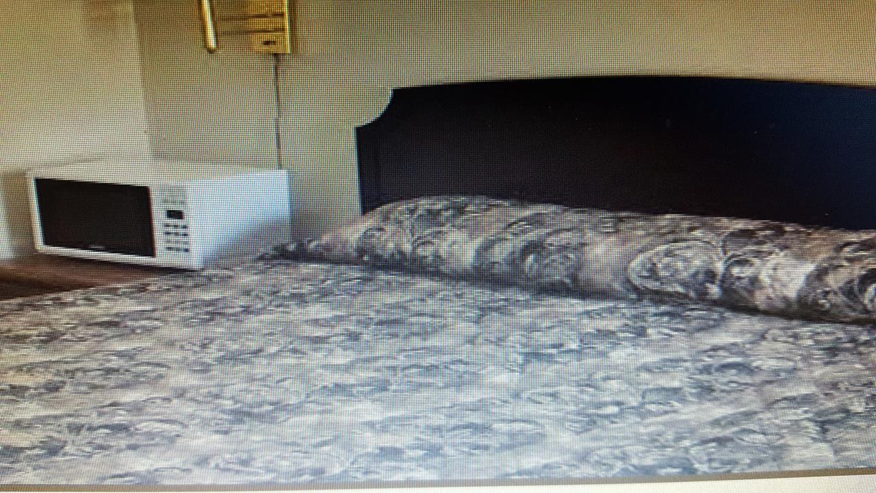 Relax Inn Montour Falls 外观 照片